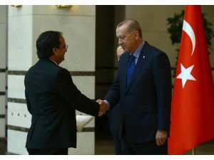 Cumhurbaşkanı Erdoğan, Dominik Büyükelçisini kabul etti