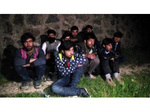 Siirt’te 22 düzensiz göçmen yakalandı