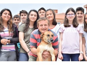Öğrenciler kanserli köpeği tedavi ettirdi