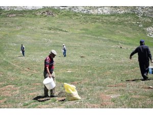 Antalya İl Tarım ve Orman Müdürlüğü’nden mera ıslah çalışmaları