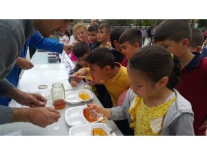 Hocalar İlkokulunda ’Dünya Arı Günü’ etkinliği