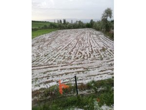 Amasya’da doludan zarar gören tarım arazilerinde hasar tespit çalışmalarına başlandı