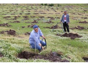 Kadın girişimci Türkiye’nin en büyük ipek böceği üretimi için dut bahçesi kurdu
