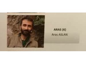 Giresun’da yakalanan PKK’lı Aras Aslan tutuklandı
