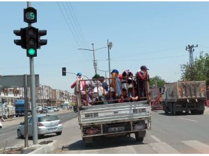 Diyarbakır’da tarım işçilerinin kamyonette tehlikeli yolculuğu