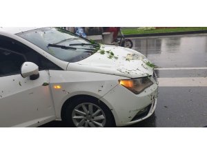 Sakarya’da şiddetli yağış esnasında ağaç aracın üzerine devrildi