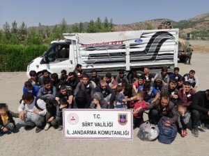 Siirt’te 40 düzensiz göçmen yakalandı