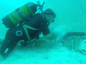 Fethiye'de deniz dibi temizliği yapıldı