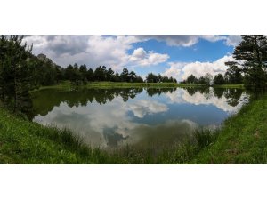 Tabiat harikası Altınpınar Limni gölü ’Tabiat Parkı’ olmayı bekliyor