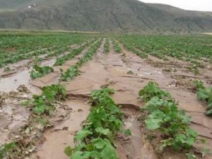 Nevşehir’de 140 bin dekar tarım arazisi zarar gördü