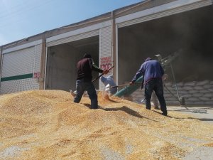 Buğdayda sektör dışı stokçular sanayicileri zorluyor