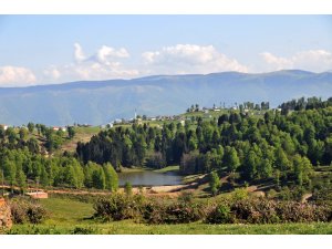 Zirvedeki doğa harikası: Hıdırnebi Yaylası