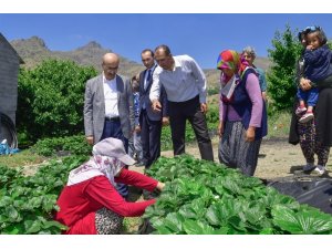 Vali Demirtaş: "Adana’nın tarımsal potansiyeli iyi değerlendirilmeli"