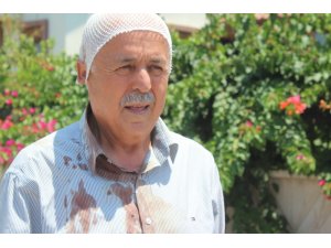 Manavgat’ta sokak köpeklerinin saldırdığı yaşlı adam hastanelik oldu
