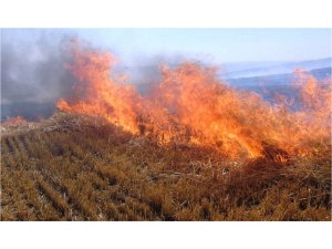 Validen çiftçilere ’anız yangını’ uyarısı