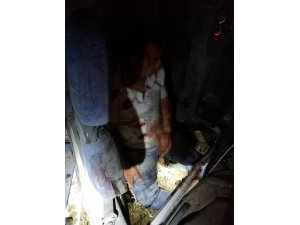 Mardin’de minibüsün şarampole yuvarlandı: 7 yaralı