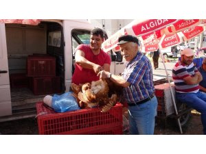 Uşak’ta canlı tavuk ve kanatlı hayvan pazarı yoğun ilgi görüyor