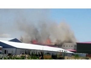 Isparta’daki Kara Havacılık Okulu’nda yangın