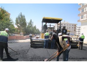 Şanlıurfa’da yol asfaltlama çalışmaları sürüyor