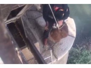 Köprü altında mahsur kalan koyun kurtarıldı