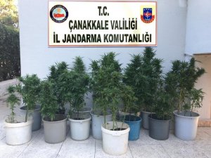 Jandarma ve polisten ortak uyuşturucu operasyonı