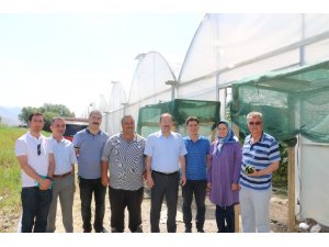 Erzincan’da sera yatırımları artıyor