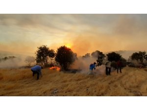 Mardin’de orman yangını 6 mahalleyi tehdit ediyor