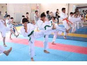 Sivas’ta karate yaz okulu devam ediyor