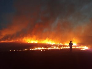 Bingöl’de yangın, 300 dönüm kül oldu
