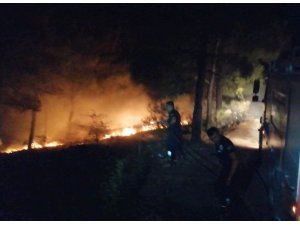 Amasya’da örtü yangını: 1 dönüm alan kül oldu