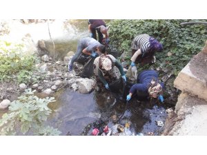 Artvinli köylü kadınlardan örnek alınacak çöp temizliği