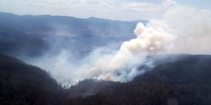 Bursa'da 7 ayrı noktada orman yangını... AFAD destek istedi