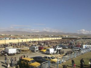 Kırşehir Ticaret Borsası, Kurban Bayramı hazırlıklarını sürdürüyor