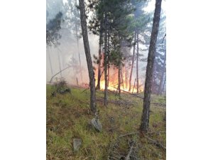 Edinilen bilgiye göre saat 14.00 civarında Boyabat Elekçam İşletme Şefliğine bağlı Koçak köyü mevkisinde bilinmeyen bir sebepten dolayı orman yangını meydana geldi. Boyabat Orman İşletme Şefliğine bağlı arazözler bölgeye sev