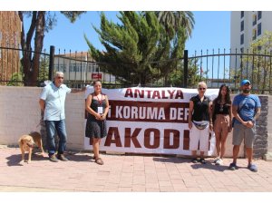 Antalya’da hayvanseverlerden mezarlık talebi