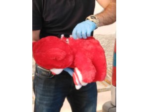 Konya’da oyuncak ayıdan bomba çıktı: 8 gözaltı