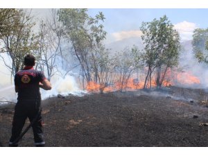 Anız yangınında 40 dönüm arazi yandı