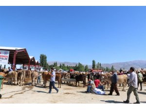 Erzincan’da kurbanlık hayvan satış yerleri denetlendi