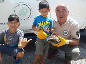 Çocuklar kaplumbağayı yanmaktan kurtardı