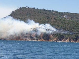 Marmara Adası ve Burgazada'da art arda orman yangınları...