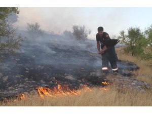 Elazığ’daki orman yangını 5 saatte kontrol altına alındı