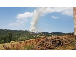 Yozgat’ta 3 hektarlık alan kül oldu