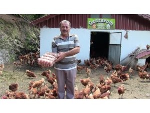 Polislikten emekli olununca organik tavuk çiftliği kurdu