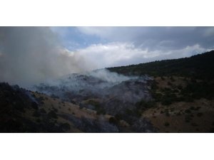 Bayburt’ta orman yangınında 100 dönüm alan zarar gördü