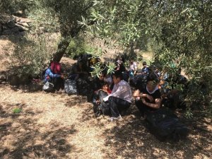 Çanakkale’de 31 mülteci yakalandı