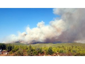 Muğla’daki orman yangınları devam ediyor