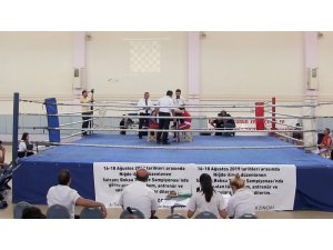 Türkiye’de ilk ‘Satranç Boks’ şampiyonası Niğde’de yapıldı