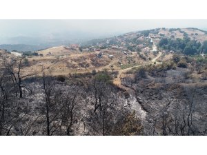 İzmir’de yangını söndürme çalışmaları sürüyor