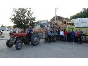Isparta’dan dünyaya domates ihraç eden köy, göç vermek yerine göç alıyor