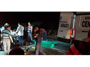 Söke’de trafik kazası: 1 ölü, 3 yaralı